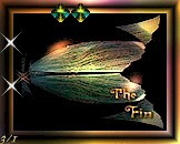 The Fin Award
