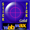 Gold Award