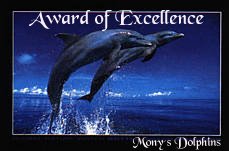 Award of Excellence
