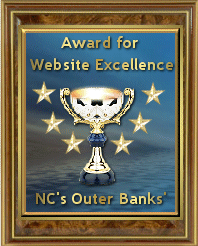 Award for Website Excellence